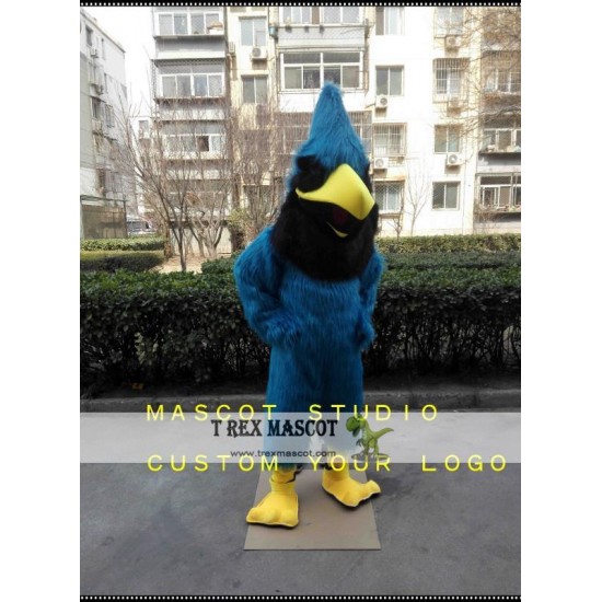 Blue Jay Mascot Costume Bird