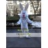 Fat Easter Rabbit Mascot Costume White Bunny