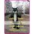 Black Panther Mascot Costume Black Wildcat