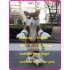 Brown Cat Mascot Costume Plush Cat