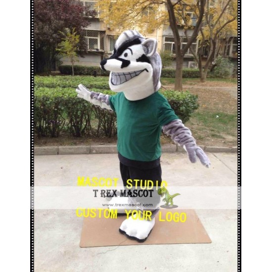 Badger Mascot Costume