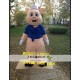 Little Pig Mascot Costume