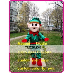 Elf Mascot Costume