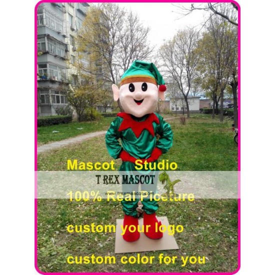 Elf Mascot Costume