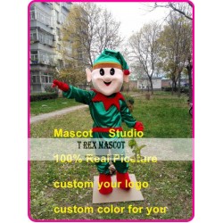 Elf Mascot Costume