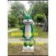 Green Rabbit Mascot Costume