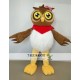 Cartoon Animal Owl Mascot Costume