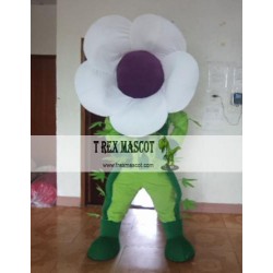 Cartoon Fruit Morning Glory Mascot Costume