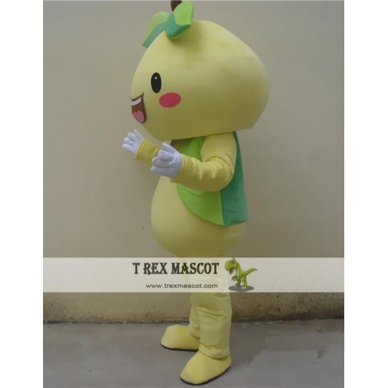 Cartoon Fruit Pear Mascot Costume