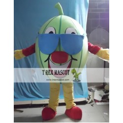 Cartoon Plant Fruit Watermelon Mascot Costume