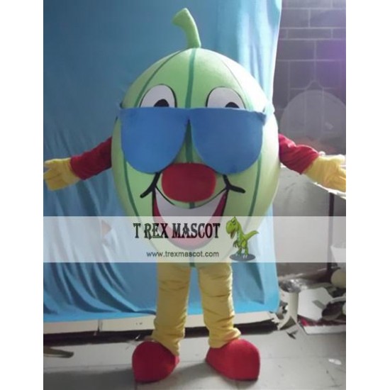 Cartoon Plant Fruit Watermelon Mascot Costume