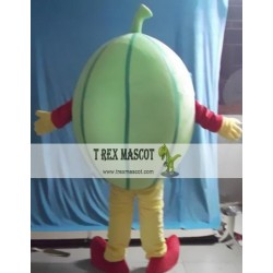 Cartoon Plant Fruit Watermelon Mascot Costume