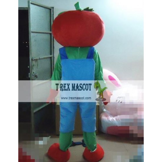 Fruit Cartoon Tomato Mascot Costume