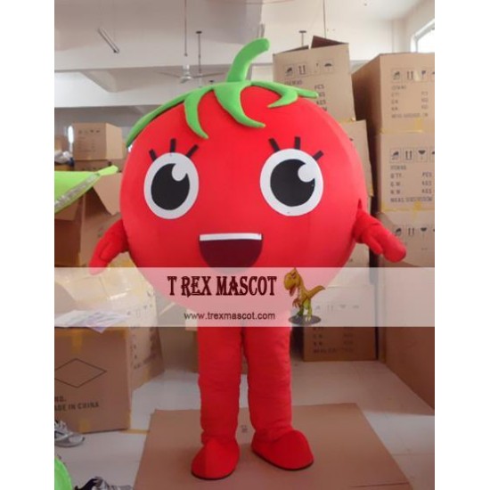 Cartoon Fruit Tomatoes Mascot Costume