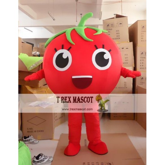 Cartoon Fruit Tomatoes Mascot Costume