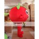 Cartoon Fruit Tomatoes Mascot Costume