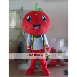 Cartoon Fruit Tomato Mascot Costume