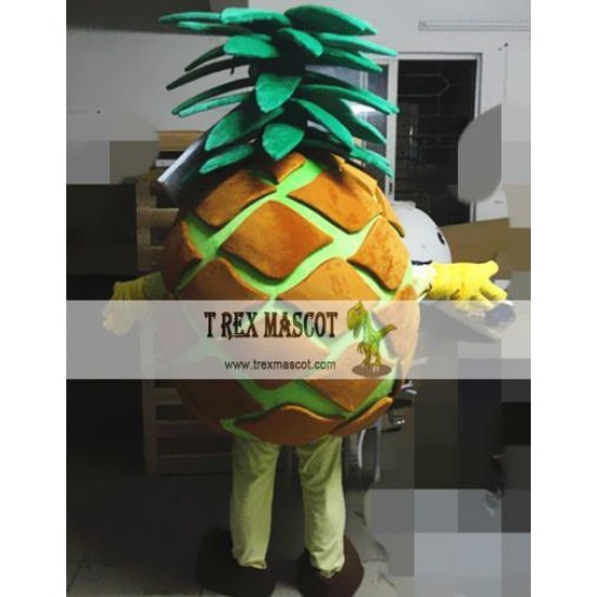 Fruit Cartoon Pineapple Mascot Costume