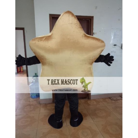 Cartoon Stars Mascot Costume