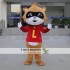 Cartoon Cosplay Little Raccoon Mascot Costume