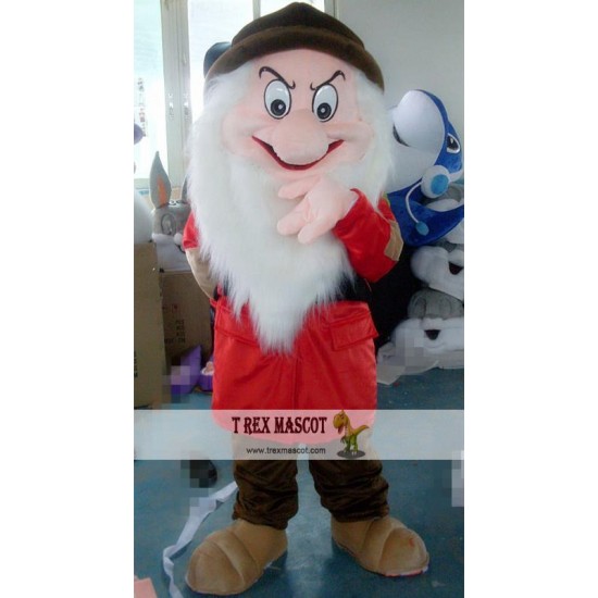 Little Cartoon Dwarf Mascot Costume