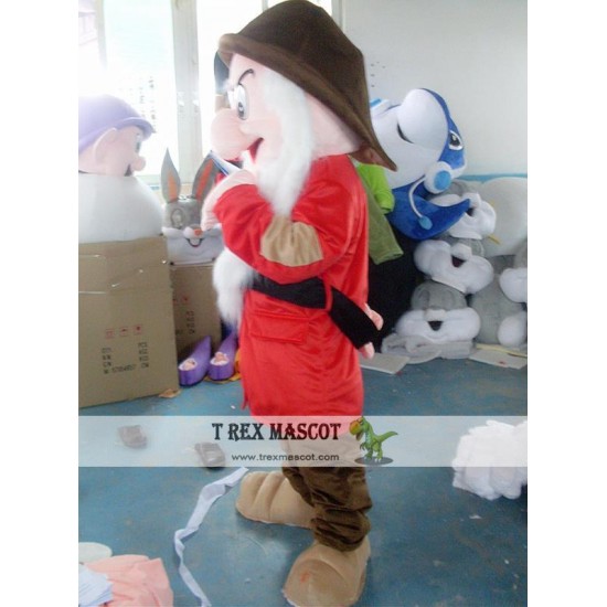 Little Cartoon Dwarf Mascot Costume