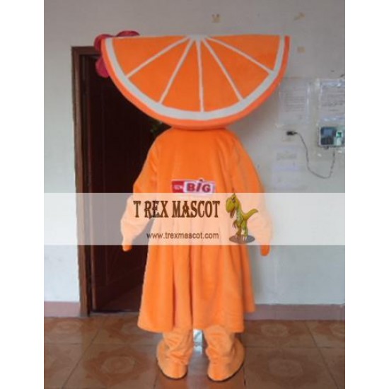 Supermarket Promotion Orange Mascot Costume