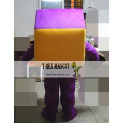 Cartoon Cosplay House Mascot Costume