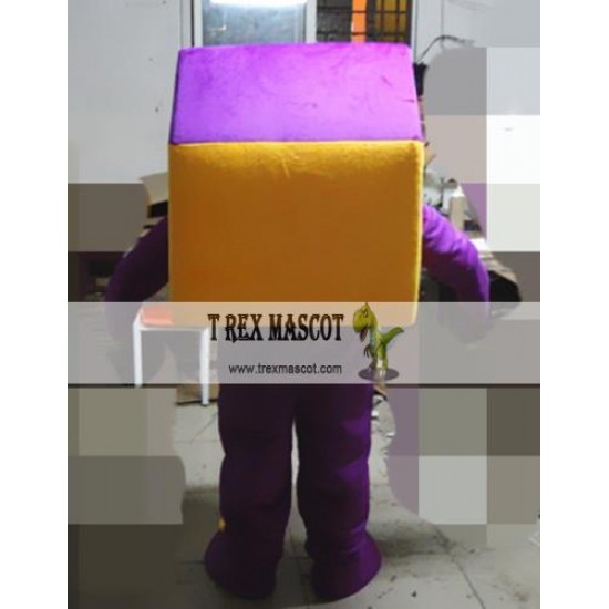 Cartoon Cosplay House Mascot Costume