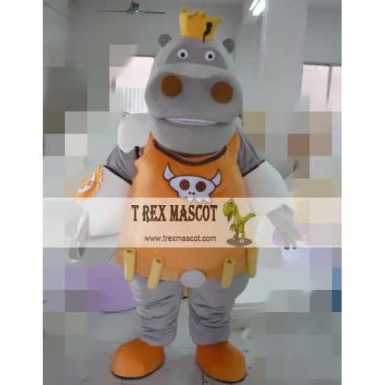 Cartoon Cosplay Rhino Mascot Costume