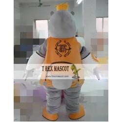 Cartoon Cosplay Rhino Mascot Costume