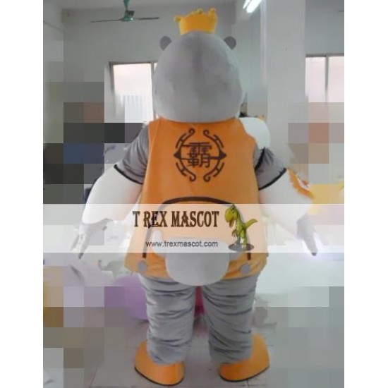 Cartoon Cosplay Rhino Mascot Costume