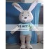 Cartoon Rabbit Boy Mascot Costume