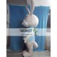 Cartoon Rabbit Boy Mascot Costume