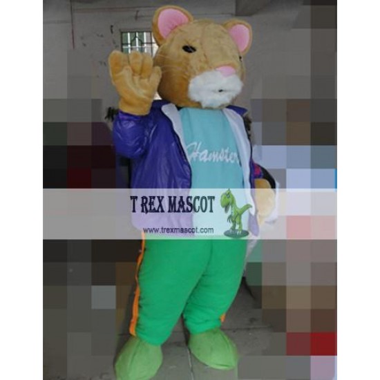 Cartoon Mouse Mascot Costume