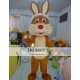 Cartoon Animal Rabbit Mascot Costume