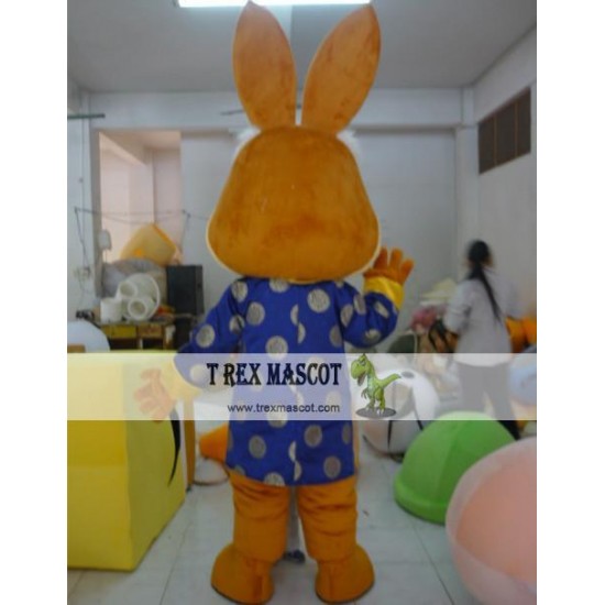 Cartoon Animal Rabbit Mascot Costume