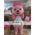 Cartoon Cosplay Field Mouse Mascot Costume