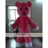 Cartoon Bear Mascot Costume