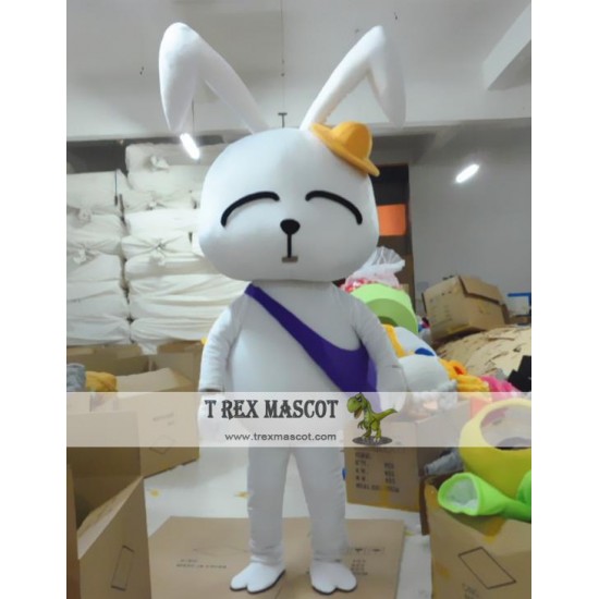 Animal Cartoon Plush Cartoon Rabbit Mascot Costume