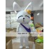 Animal Cartoon Plush Cartoon Rabbit Mascot Costume