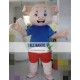 Cartoon Cosplay Little Pig Mascot Costume