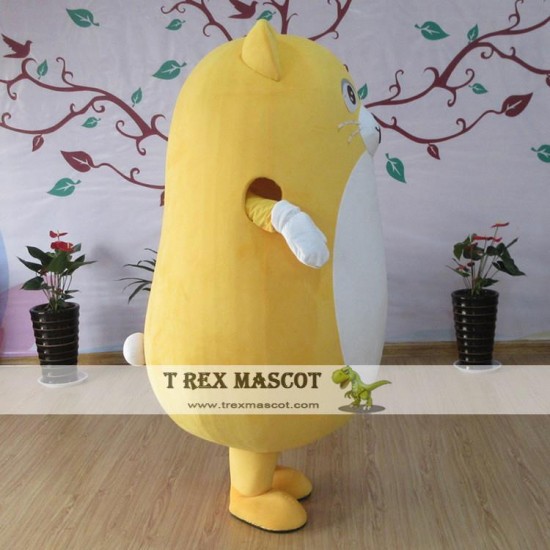 Cat Mascot Costume For Adullt & Kids