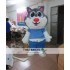 Cartoon Mascot Costume For Adullt & Kids