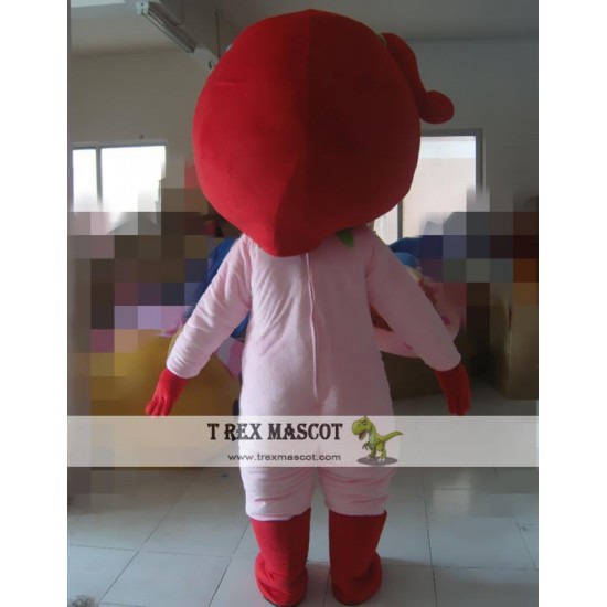 Strawberry Mascot Costume For Adullt & Kids