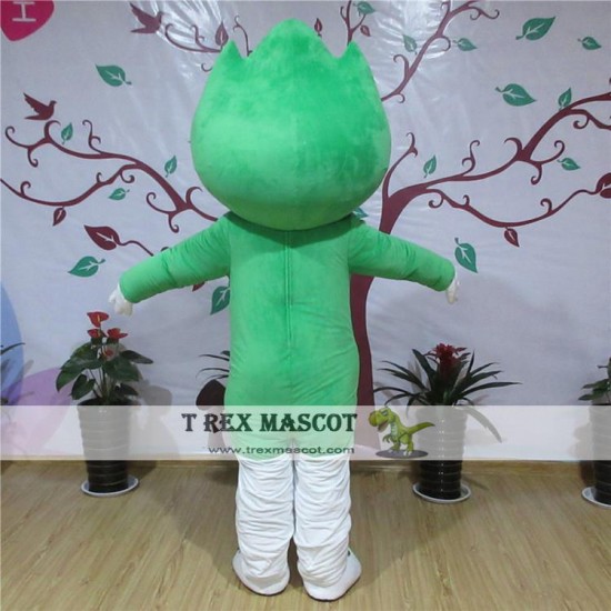 Cartoon Mascot Costume For Adullt & Kids