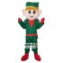 Peter Pan Mascot Costume for Adult