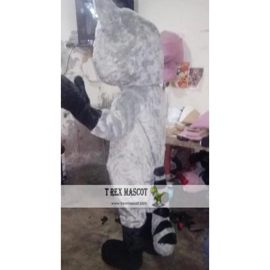 Racoon Mascot Costume Adult Animal Costume