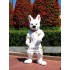 Dog Fursuit Mascot Costume for Adult