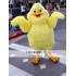 Chicken Baby Mascot Costume for Adult